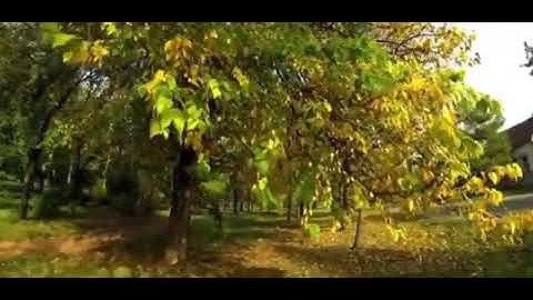 سورة فصلت تراويح 1443#عادل_رمضان 