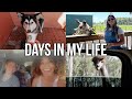 DAYS IN MY LIFE: wild florida, starbucks pup cup + peeing in the car..