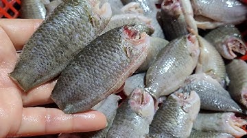 Không ngờ làm sạch nhớt cá và khử mùi tanh cách này rất hây nhanh hiệu quả