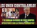 TODOS CONTRA AMLO GRUPO OPOSITOR ¨TERNURITAS¨