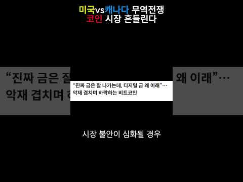 관세전쟁이 코인 시장에 벌어지는 영향