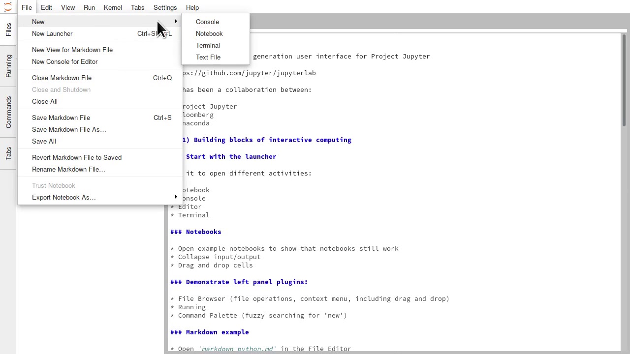 Text Editor — JupyterLab 299.29.29b29 documentation