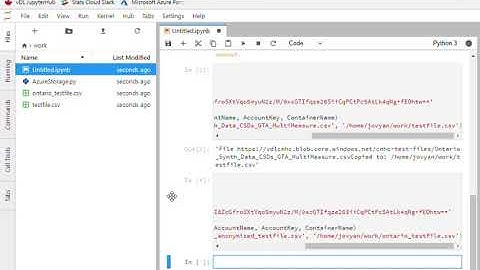 JupyterHub   Stata Demo