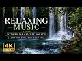 Beautiful Relaxation Music 🌿 Soothing Music with cricket and bird sound for Sleep &amp; Meditation 