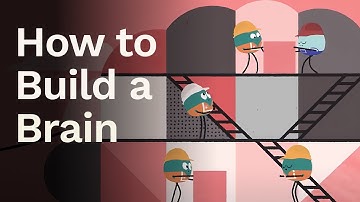 How To Build a Brain
