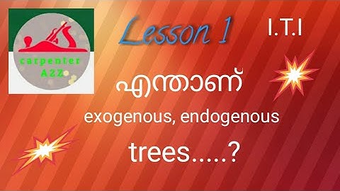 carpenter A2Z, exogenous trees , endogenous trees,A2Z,wood