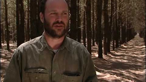 Agroforestry Practices - Forest Farming