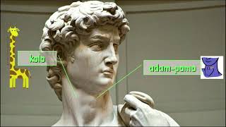 5 La homa korpo en Esperanto