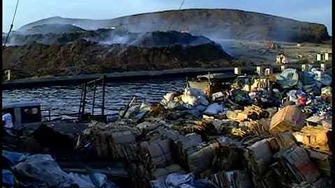 International Film & Video