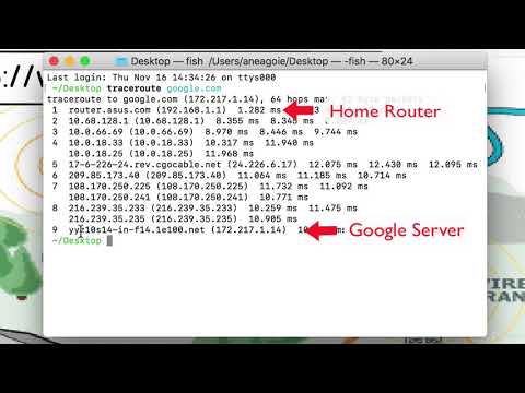 5  Traceroute | Learn JavaScript | Complete Web Developer