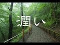 癒しBGM！潤いBGM！作業用BGM！ギター曲です！