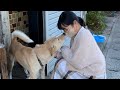 近所の犬との交流