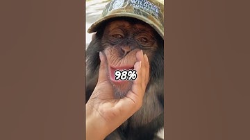 Unraveling the Mysteries of DNA: The Blueprint of Life #science #dna #shorts