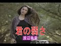 (カラオケ) 君の弱さ / 渡辺美里