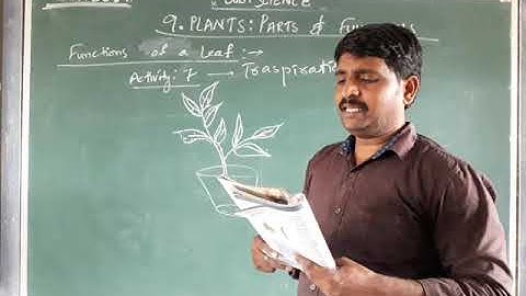 6th SCIENCE- CH:9 PLANTS: PARTS & FUNCTIONS ( part 3)