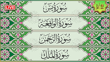 سورة يس، الرحمن، الواقعة، الملك تلاوة عذبة هادئة مع قراءة جودة عالية - استمع بنية الرزق والشفاء