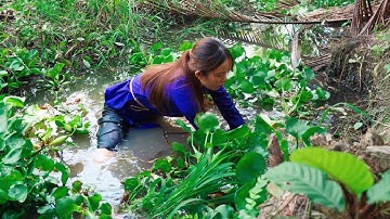 Lội mương bắt được mớ ốc đắng trộn gỏi bắp chuối || ẨM THỰC MIỀN TÂY #2