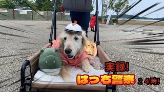 【復活】膀胱の調子が奇跡的によくなりました！可愛いはっちポリスも登場します。