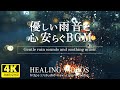 【癒し】夜の街に降りそそぐ優しい夜景と雨音、心安らぐBGM「ジャス」で心の癒しになれば嬉しいです。「4K風景映像・実写」