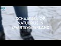 Schaatsen op natuurijs in Zwartewaterland