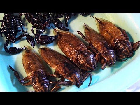 CRAZY THAI FOOD ON THE FLOATING MARKET IN PATTAYA THAILAND