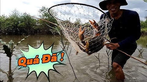 Thót Tim Khi Vớt Con Cua Quá Bự | Gia Đình Cần Giờ .422 |