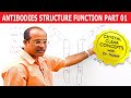 Antibodies - Immunoglobulins - Structure & Function - Part 1