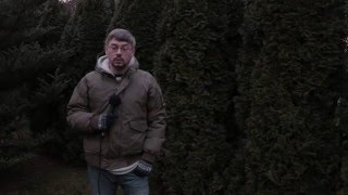 Центр Интеграции.  Как всё начиналось