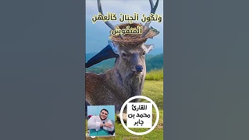 سوره القارعة بصوت الشيخ محمد بن جابر #القارئ_محمد_بن_جابر #المصحف #اكسبلور #القزابري