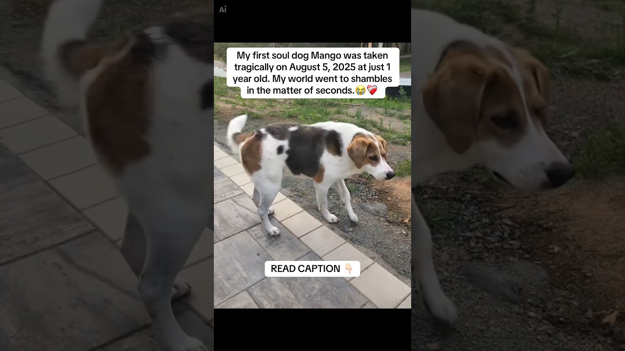 READ CAPTION 👇🏻