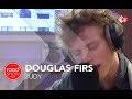 Douglas Firs  - Judy live @ Roodshow Late Night