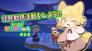 【私の島で本格的に勧誘活動！】日月(月)の自由に遊びつくす配信【#あつまれどうぶつの森  part10】