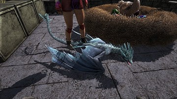 ARK Sa Mạc #10 : Trộm Được Trứng Rồng Lightning Wyvern Rồi Anh Em Ơi !