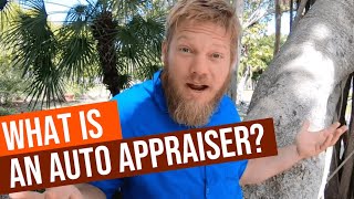 What is an AUTO APPRAISER?