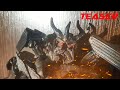 Transformers Stop-Motion / Episode 2  Energon Mayhem / Teaser