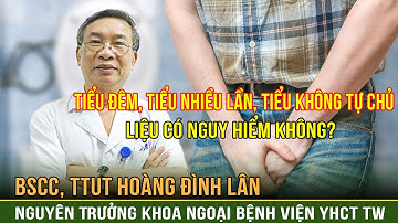 Tổng hợp tin tức an ninh trật tự nóng, thời sự Việt Nam mới nhất 24h | ANTV