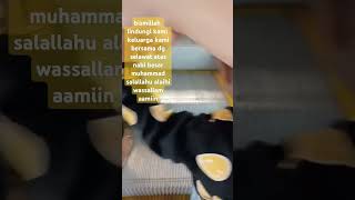 Download Lagu muhammadun rosulullah muhammadun habibullah❤️❤️ #love prophet muhammad MP3