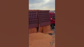 Grain unloading process