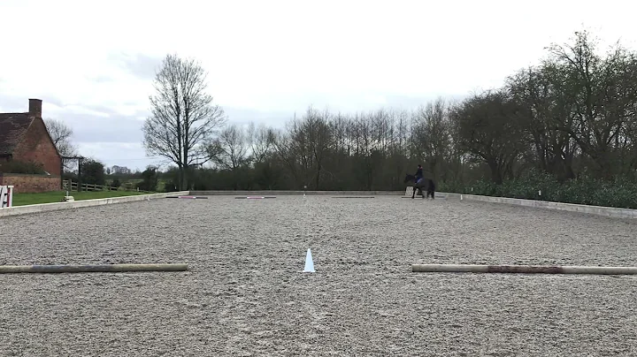 Lydia Ellison interdressage walk trot test A March...