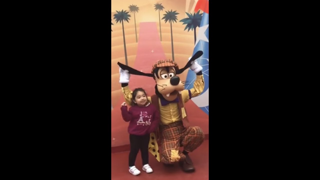 Goofy Disney Land | Paris