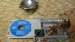 cat_feed.flv
