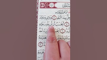 سورة القيامة #القرآن_الكريم #اكسبلور #اكسبلورفولو #فولو #اكسبلورر #تيك_توك
