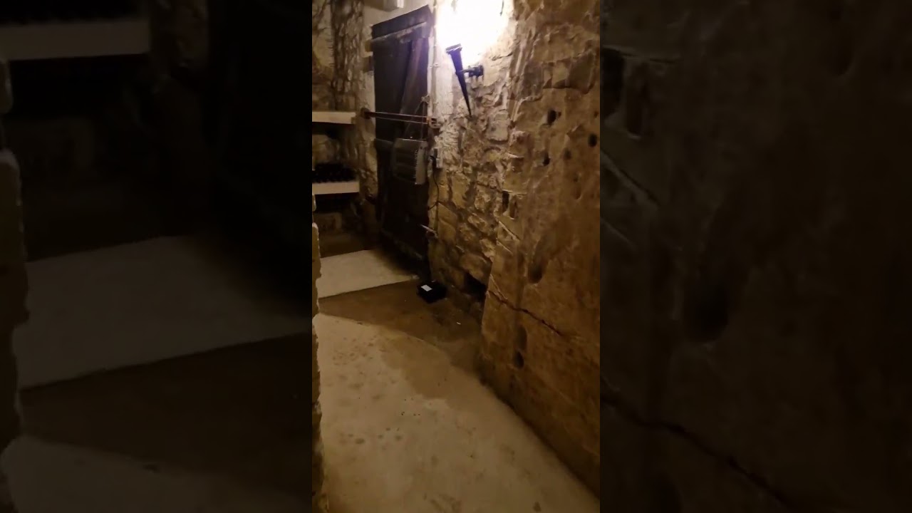 Vintages and old wines in an authentic wine cellar in the heart of Bordeaux region.@thewinelobbyist