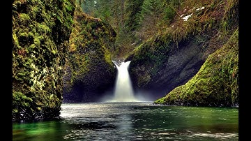 تلاوة رائعة لسورة يوسف للقارئ عادل ريان