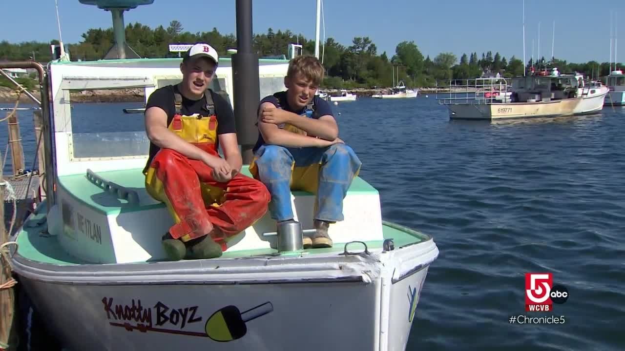 Recreation and research on the Schoodic Peninsula