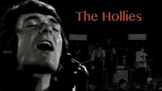 Video thumbnail of "The Hollies - On a Carousel"