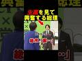 ㊗️300万再生🎊【生嵐やん】目の前にしてはしゃいでしまう総理 #ニュース #政治 #高市早苗 #高市早苗