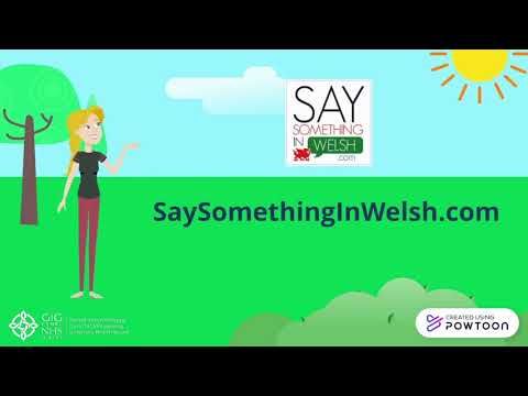 Learning Welsh in CTM