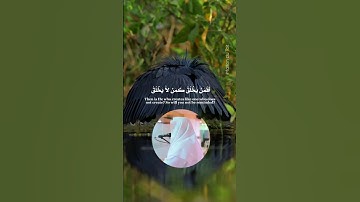 أَفَمَن يَخْلُقُ كَمَن لاَّ يَخْلُقُ أَفَلا تَذَكَّرُونَ الشيخ يوسف العيدروس يوسفالعيدروس سورة النحل