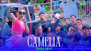 Download Lagu CAMELIA - TIARA DEWI - NEW AMELIA - ARYA AUDIO - THE BIG FAMILY ORCOKA 2024 MP3